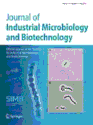 Lactic acid bacteria and yeasts in kefir grains and kefir made from them | Journal of Industrial Microbiology and Bio...