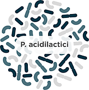 RISKS/HAZARDS ASSOCIATED WITH P. acidilactici
