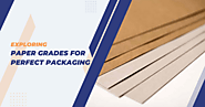 Explanation About Paper Grades for Perfect Packaging in 2024!
