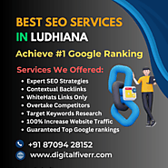 Build Your Business With Our Top Rated SEO Company in Ludhiana