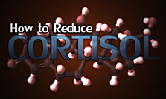 19 Different Tips on How to Reduce Cortisol