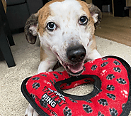 MyDogToy Dog Toys – Super-Soft & Highly-Durable Dog Plushie Squeaker Toys