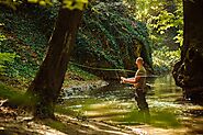 Explore Camping Places in North Georgia