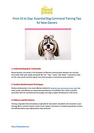From Sit to Stay Essential Dog Command Training Tips for New Owners