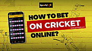 How To Bet On Cricket Online? 2024