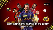 Who is the most expensive player in IPL 2024?