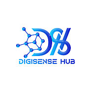 Digisensehub - India's Leading Digital Marketing Company