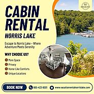 Best Cabin Rentals in Norris Lake