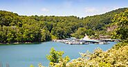 Why You Should Choose Norris Lake for the Vacation