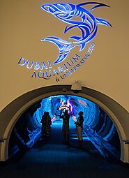 Dubai Aquarium