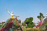 Explore Dubai Miracle Garden