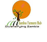 Zambia Farmers Hub (Zambia)