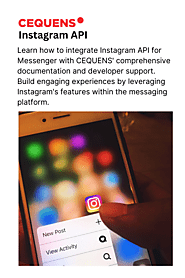 Best Instagram API Provider | CEQUENS