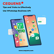 Tips to use Whatsapp Business API