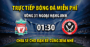 Link trực tiếp Liverpool vs Sheffield United 01:30, ngày 05/04 - Kvnonews.com