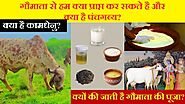 सर्वश्रेष्ठ पंचगव्य का चुनाव कैसे करे | सभी देसी गाय का घी आशीर्वाद हे 'Gir Cow Ghee' - @Goseva