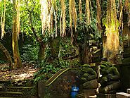 Ubud Monkey Forest