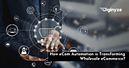 How Automation is Solving the Most Annoying Problems for Wholesale eCommerce Businesses?