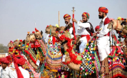 Pushkar fair 2013