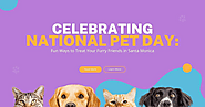 Celebrating National Pet Day: Fun Ways to Treat Your Furry Friends in Santa Monica - TechNewzTOP
