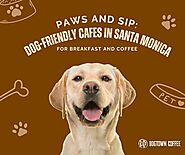 Paws And Sip: Dog-Friendly Cafes In Santa Monica For Breakfast And Coffee - Dogtown Coffee - Medium