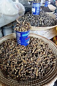 Mopane Worms