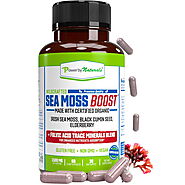 Power by Naturals Nutrient Absorption Sea Moss Boost with Fulvic, Iodine, Magnesium