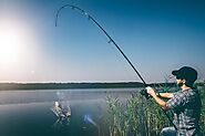 Beginner’s Guide: How to Choose the Right Fishing Rod