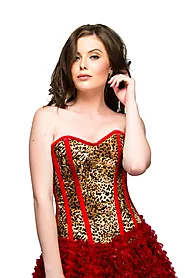 Leopard Animal Print Side Zipper Overbust Corset Waist Training Top Only