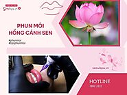 Phun môi màu hồng cánh sen có đẹp không? Hợp với ai?