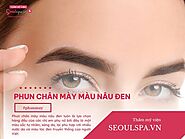 Phun lông mày màu nâu đen có đẹp không? Giá tiền phun xăm