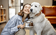 Why Pets Are More Than Just Friends: Their Role in Our Mental Wellness