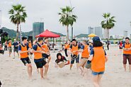 Mẫu kịch bản team building cho sinh viên thú vị, ấn tượng nhất 2024