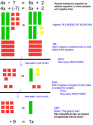 Algebra Tiles