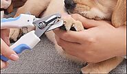 How to Choose the Best Pet Nail Clippers for Your Furry Friend