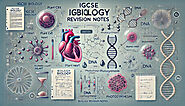 IGCSE Biology Revision Notes and Exam Style Questions