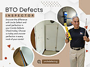 BTO Defect Inspector
