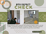BTO Defects Check