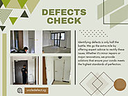 Defect Check