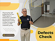 Defects Check Inspector
