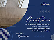 Carpet Cleaner