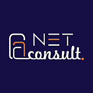 NetConsult FZCO - Digital Marketing Agency