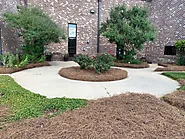 The Art of Landscape Enhancement with Pine Straw - pinestrawamerica