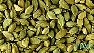 Exploring the Wonders of Cardamom: Unveiling its Remarkable Benefits