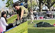 Couple caught 'Making Love' under a blanket at New York Park - Mangubaaz