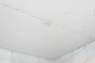How to Fix a Leaking Roof from the Inside - Complete Guide