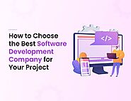 How to choose the best Software Development Company for your project?