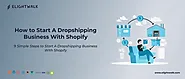 How To Start A Dropshipping Business With Shopify