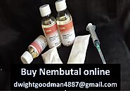 Sodium pentobarbital for sale buy nembutal online ( Pills, Liquid & Powder ) dwightgoodman4887@gmail.com