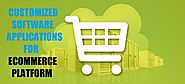 How Software Application Development Favor Custom Ecommerce Platforms?